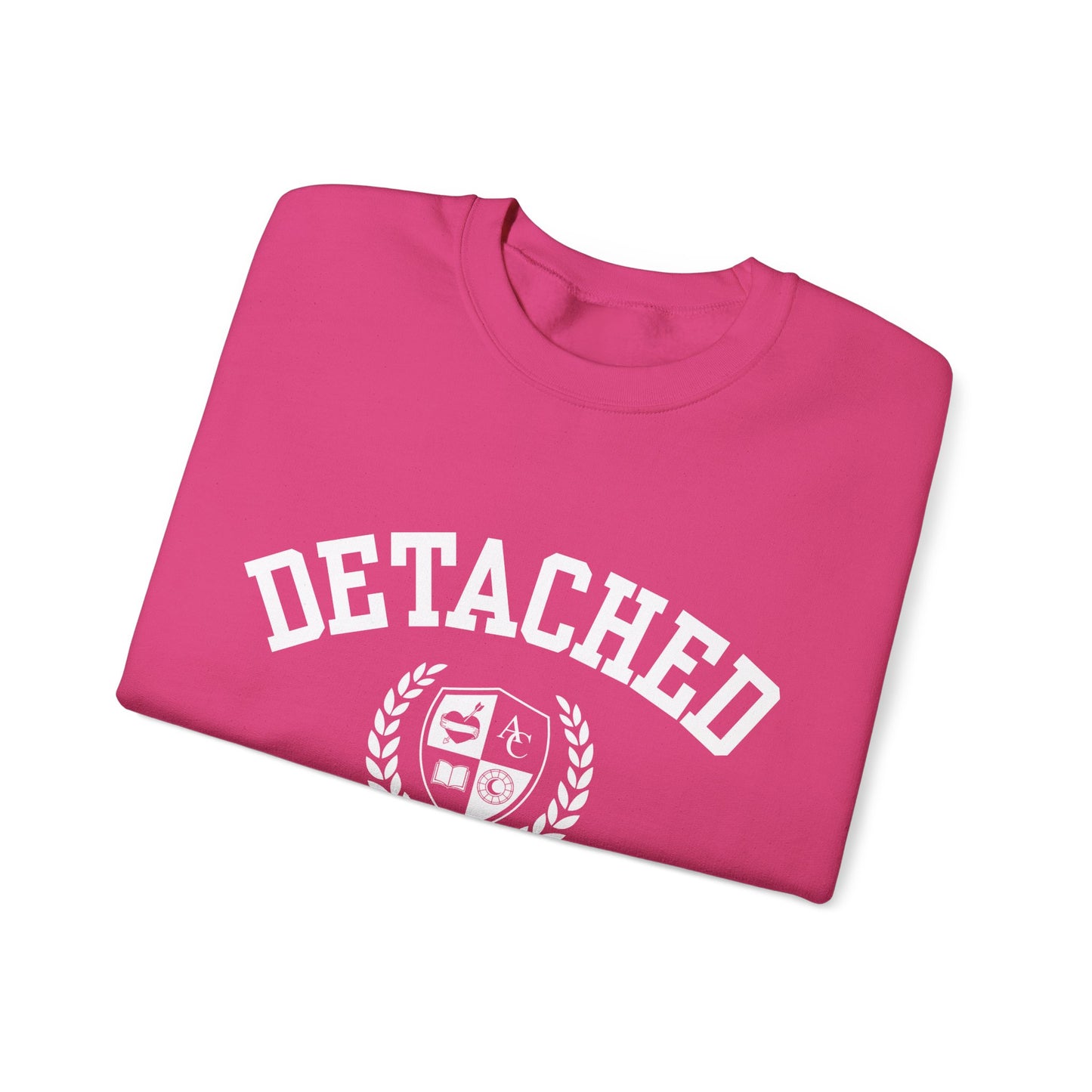Detached University Self-Acceptance Unisex Sweatshirt - University Series