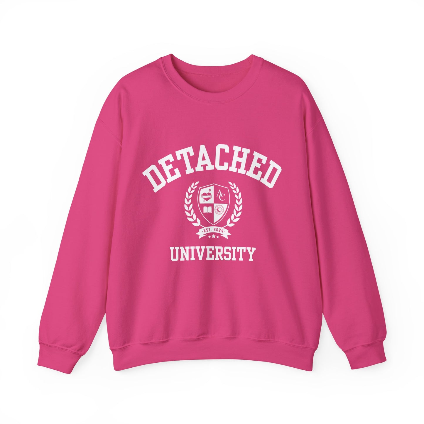 Detached University Self-Acceptance Unisex Sweatshirt - University Series