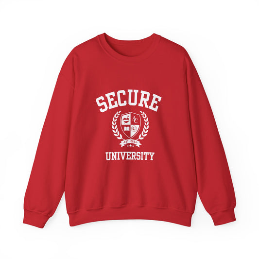 Secure University Self-Acceptance Unisex Sweatshirt - University Series