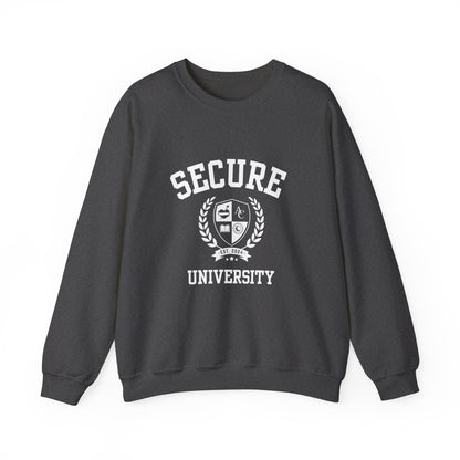Secure University Self-Acceptance Unisex Sweatshirt - University Series