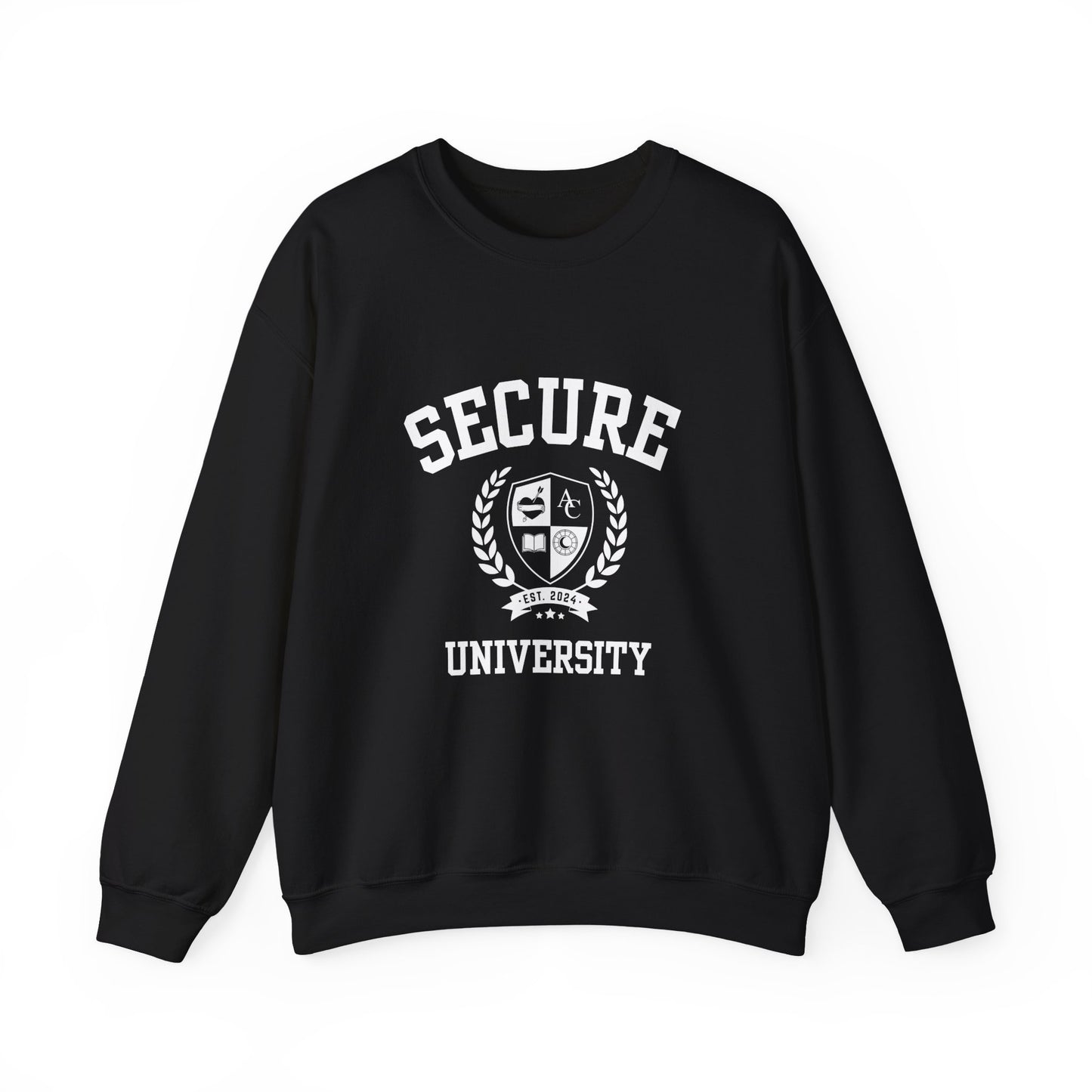 Secure University Self-Acceptance Unisex Sweatshirt - University Series