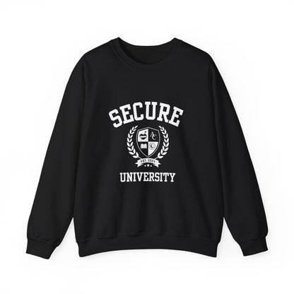 Secure University Self-Acceptance Unisex Sweatshirt - University Series