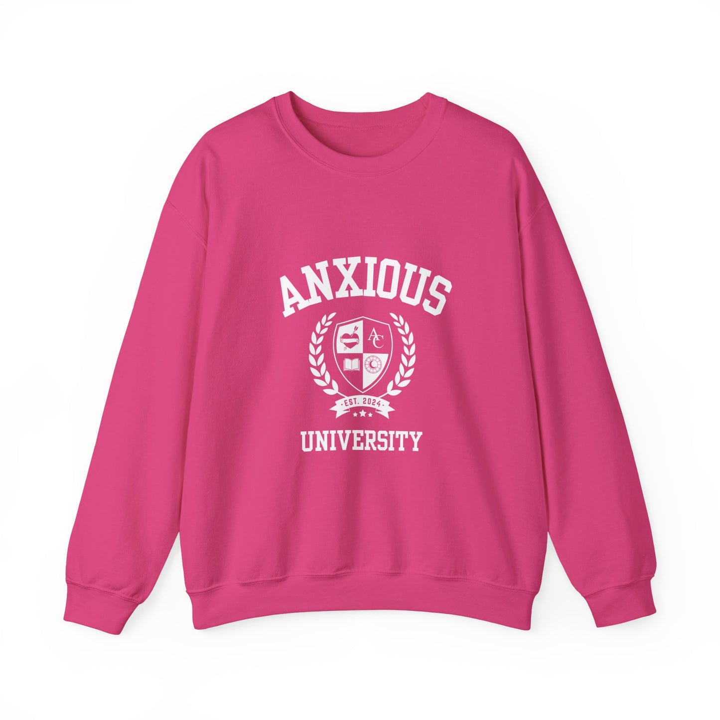 Anxious University Self-Acceptance Unisex Sweatshirt - University Series