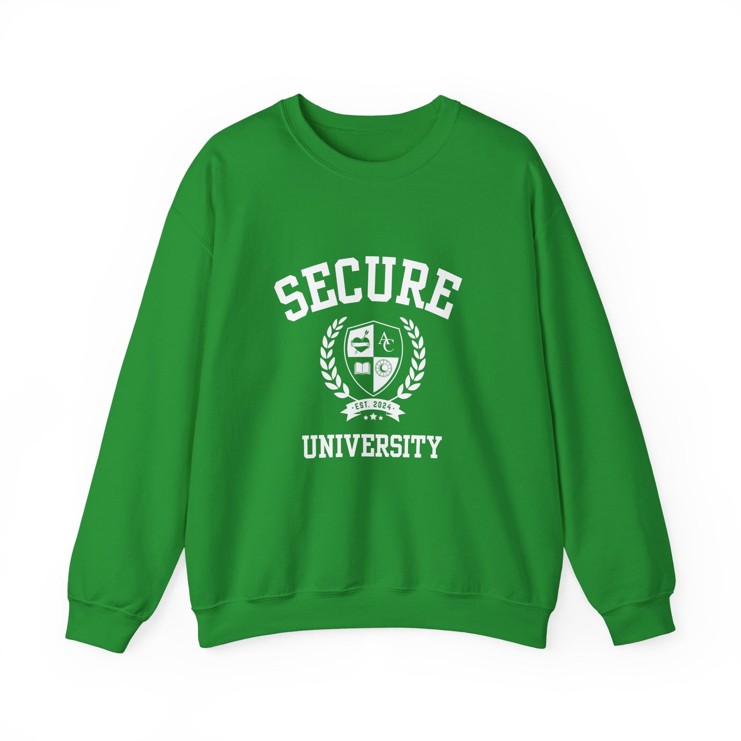 Secure University Self-Acceptance Unisex Sweatshirt - University Series