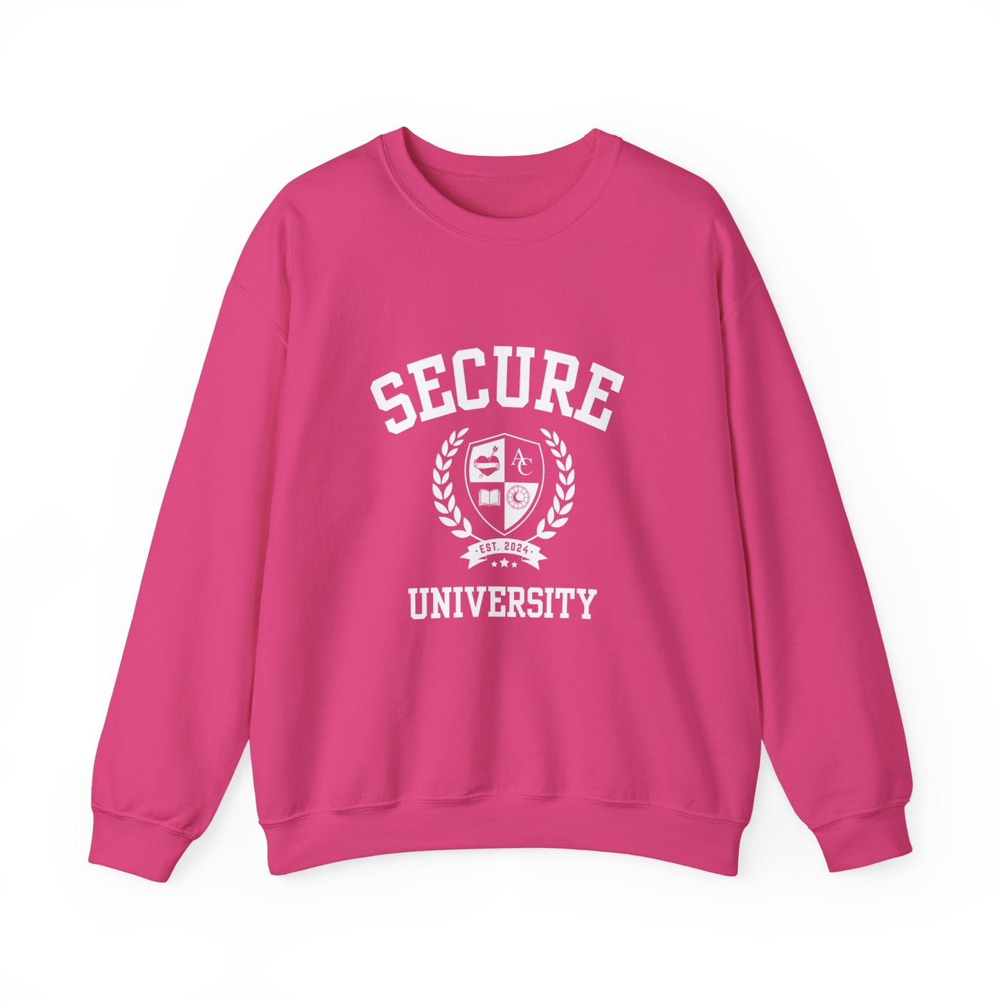 Secure University Self-Acceptance Unisex Sweatshirt - University Series
