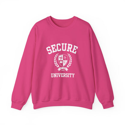 Secure University Self-Acceptance Unisex Sweatshirt - University Series