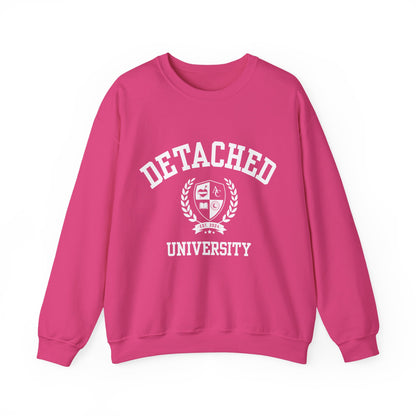 Detached University Self-Acceptance Unisex Sweatshirt - University Series