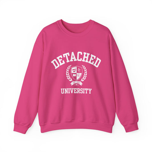 Detached University Self-Acceptance Unisex Sweatshirt - University Series