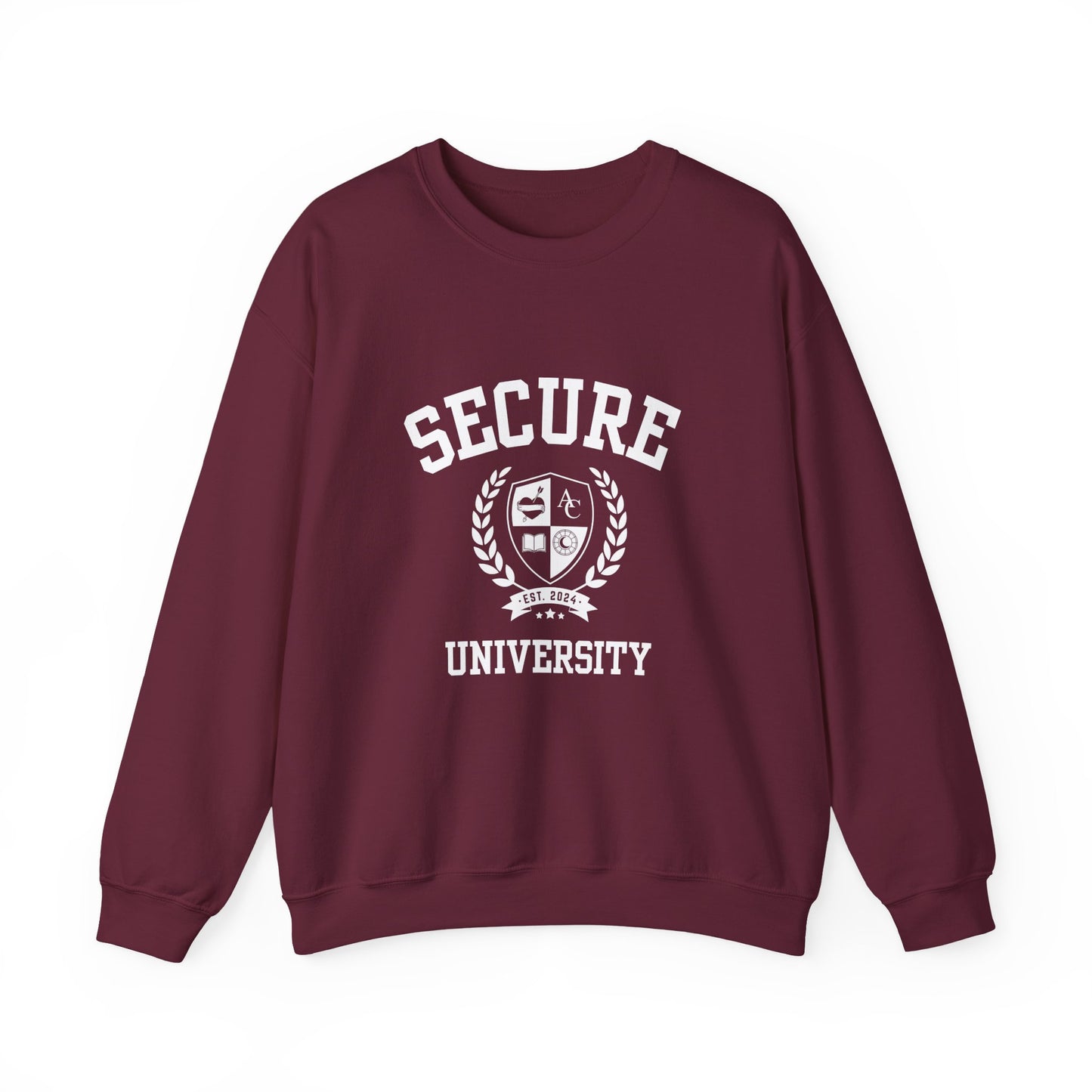 Secure University Self-Acceptance Unisex Sweatshirt - University Series
