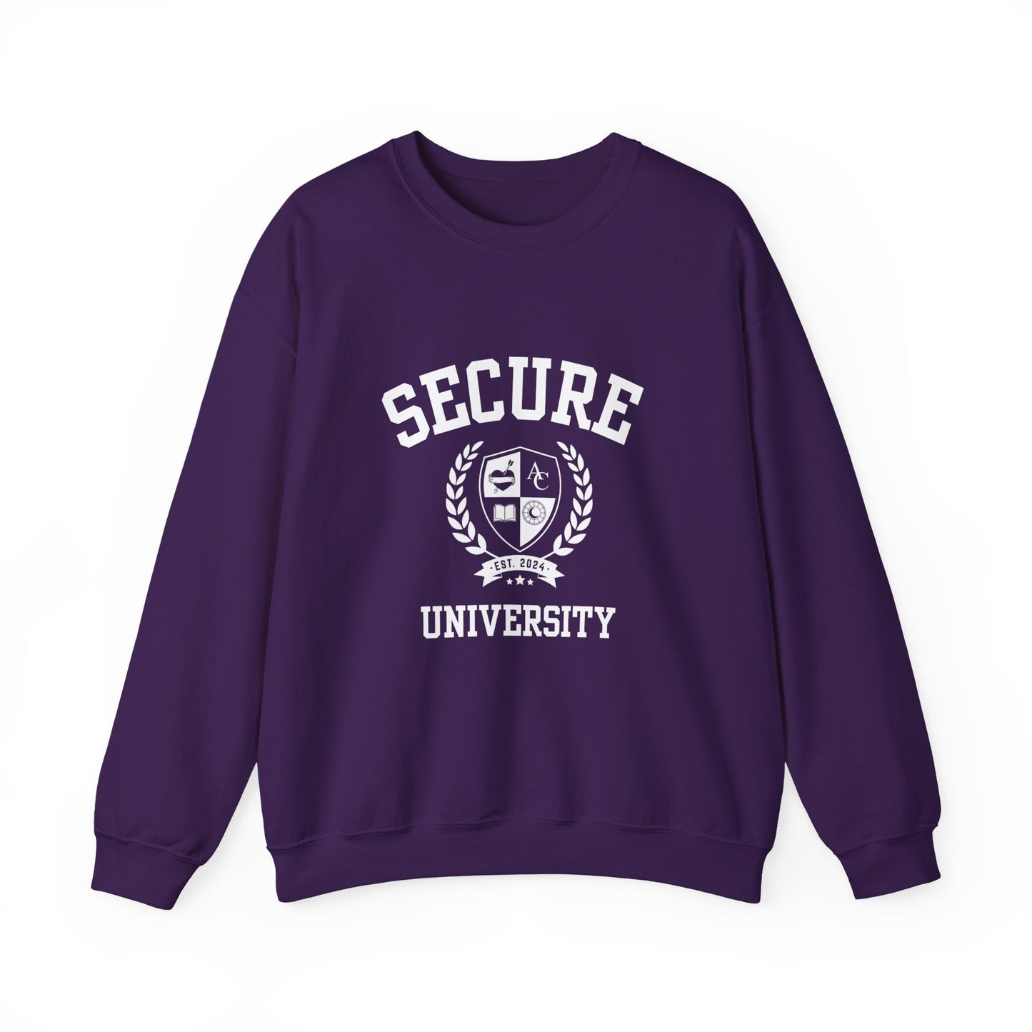 Secure University Self-Acceptance Unisex Sweatshirt - University Series