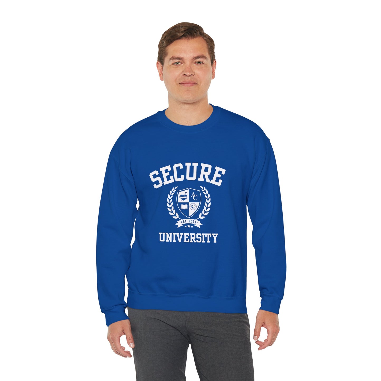 Secure University Self-Acceptance Unisex Sweatshirt - University Series