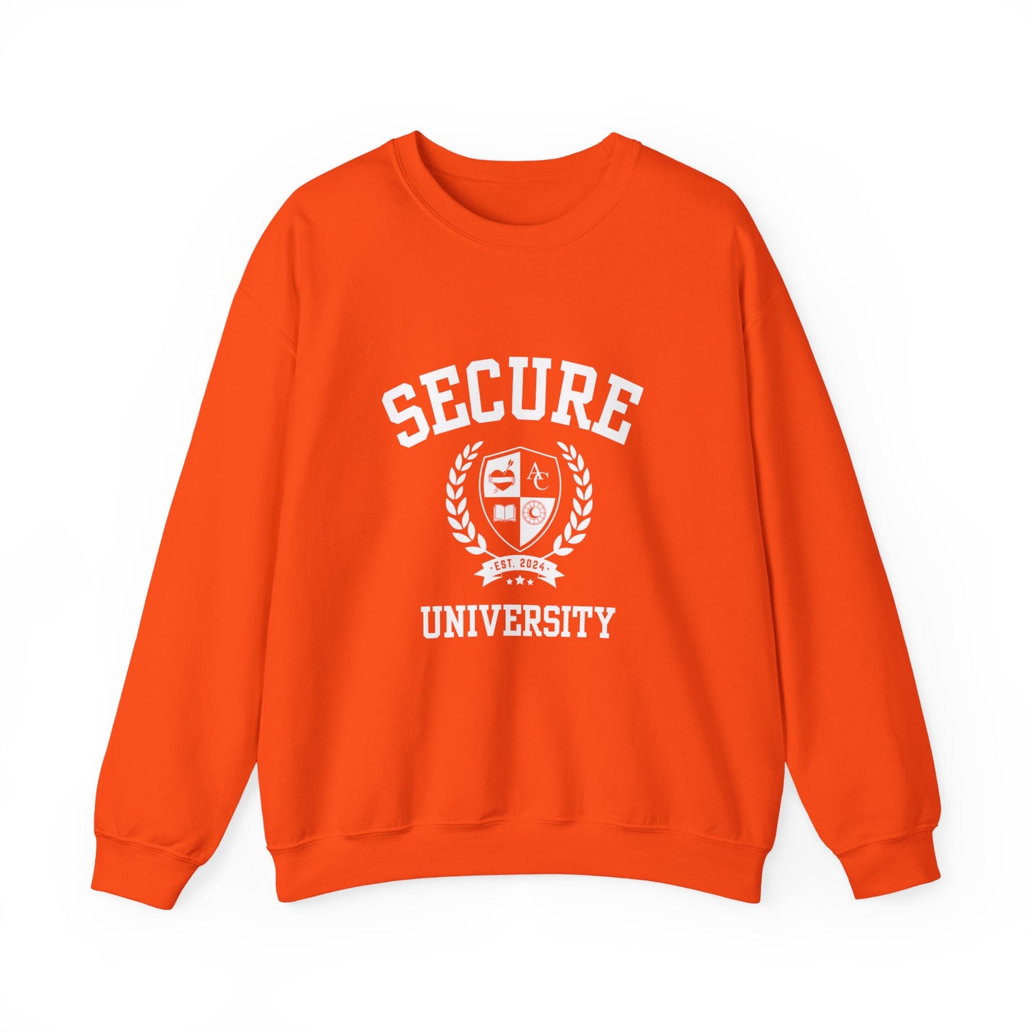 Secure University Self-Acceptance Unisex Sweatshirt - University Series