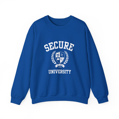 Secure University Self-Acceptance Unisex Sweatshirt - University Series