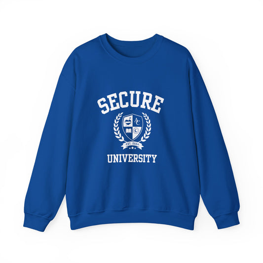 Secure University Self-Acceptance Unisex Sweatshirt - University Series
